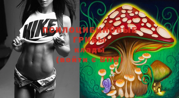 MESCALINE Няндома